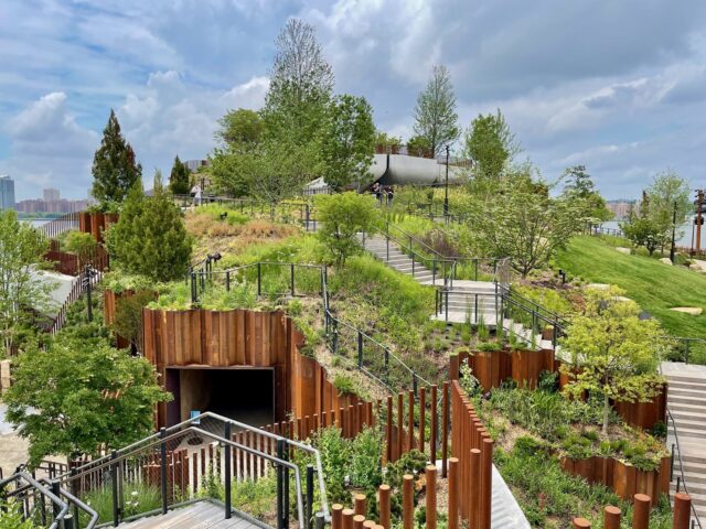 Vegetación sobre Little Island