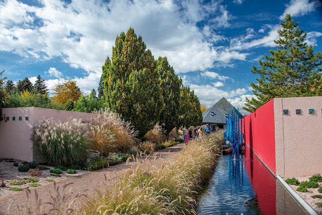 Gramíneas ornamentales: 7 especies impresionantes para embellecer tu jardín.