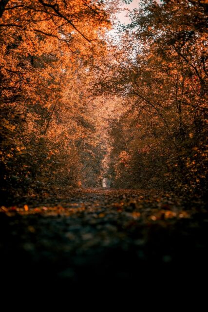 La influencia del equinoccio